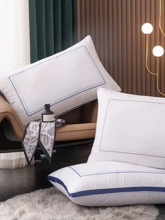 2pcs/Set Luxury 100% Egypt Cotton pillow